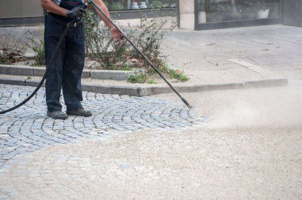 Best Sidewalk and Walkway Cleaning  in Crestwood Village, NJ